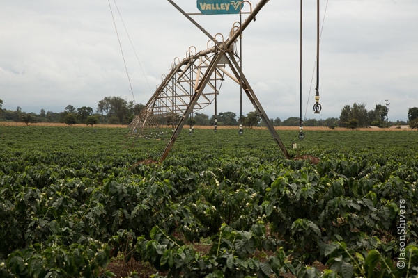 Hotel Weru Weru River Lodge (Moshi)